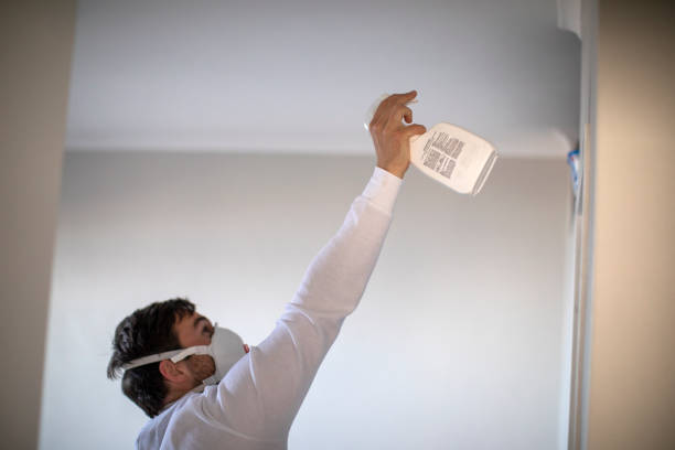 Best Localized Mold Remediation (e.g., coastal areas, humid climates) in Oak Park Heights, MN