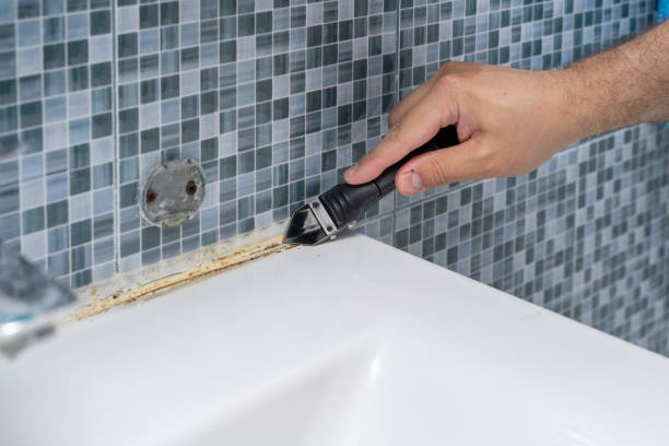 Best Post-Remediation Services in Oak Park Heights, MN